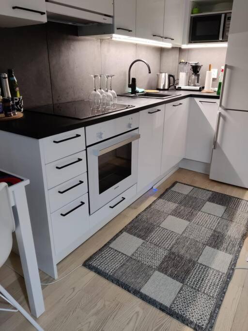 Cozy Studio In The City Center Рованіемі Екстер'єр фото